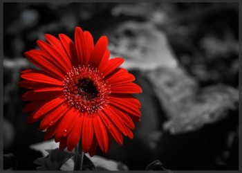 Να φτιάξουμε την Αριστερά  που φοβούνται Σαμαράς και σύστημα