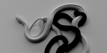 Εκβιάζουν τους βουλευτές τους!