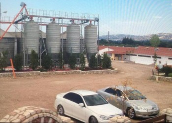 Κωσταλέξι, Μανωλάδα, Χαλανδρίτσα