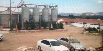 Κωσταλέξι, Μανωλάδα, Χαλανδρίτσα