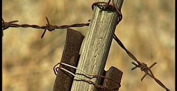 Μια ωδή για τα δεύτερα πρόσωπα