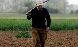 Βίαιο ξεκλήρισμα των αγροεργατών