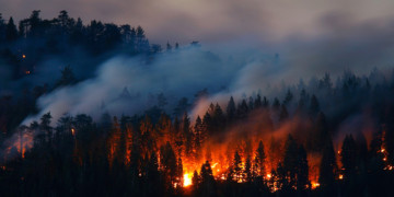Τα συμφέροντα βάζουν φωτιά στα δάση