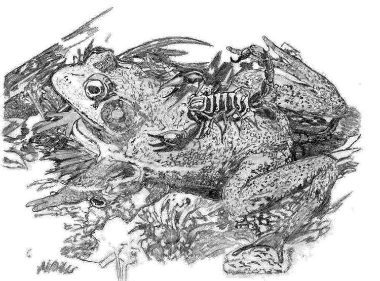 Είναι στη φύση του