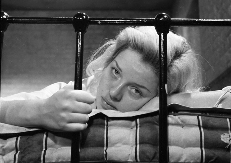 Στο αίνιγμα της Σφίγγας