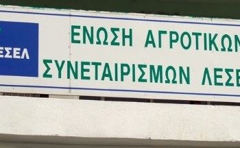 Καθεστώς η απλήρωτη εργασία