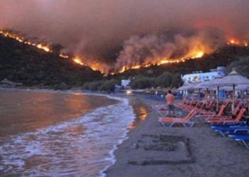 Έγκλημα στο βωμό του κέρδους