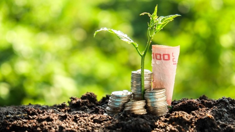 Το καπιταλιστικό κέρδος λεηλατεί τη φύση