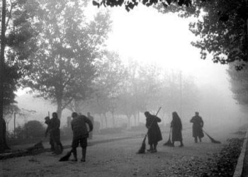 Ένα λουλούδι στη μνήμη του Σπύρου Καλοδίκη