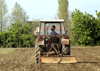 Υπό κατάρρευση οι τιμές παραγωγού
