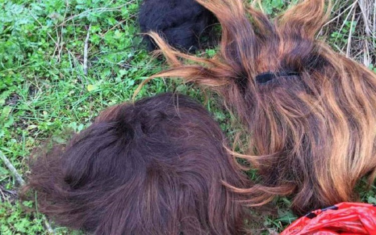 Και περούκες στον πόλεμο της προπαγάνδας