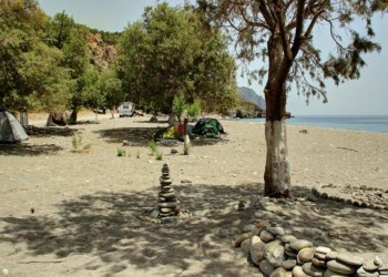 Η σκιά κάτω από τα αρμυρίκια μικραίνει επικίνδυνα…