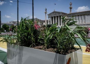 «Μεγάλος Περίπατος»: Το Μεγάλο Φιάσκο του Κώστα Μπακογιάννη