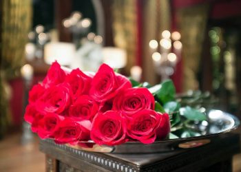 Bachelor: Ο άντρας-τρόπαιο και οι γυναίκες «έτοιμες για όλα»