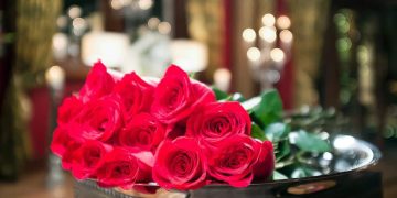 Bachelor: Ο άντρας-τρόπαιο και οι γυναίκες «έτοιμες για όλα»