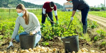 ΕΕ: Επίθεση  στην αγροτιά, τον λαό και τη φύση με «πράσινο» μανδύα