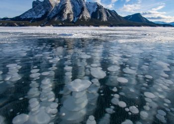 Περισκόπιο 14.11.2020