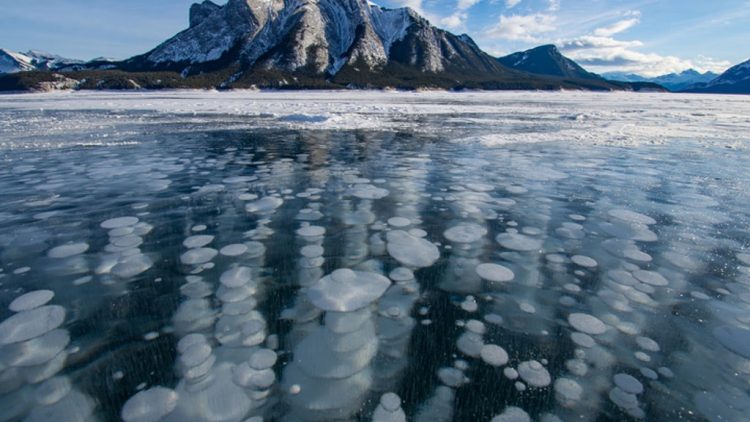 Περισκόπιο 14.11.2020