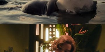 Ταινίες και σειρές που ξεχώρισαν το 2020