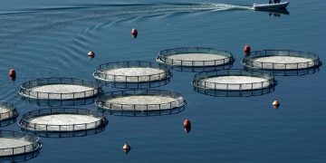 Ιχθυοκαλλιέργειες: Απολύσεις και συμφωνητικά εμπιστευτικότητας για αύξηση κερδών