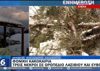 Λείπει το «ποιος», κατασκευάζεται το «γιατί»