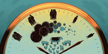 Ζωή κομμένη στα δυο