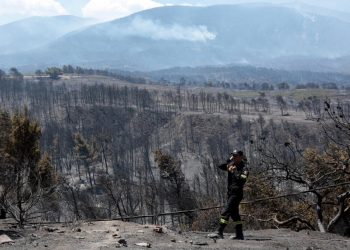 Δασικές πυρκαγιές: Συσκέψεις και λόγια κατόπιν… καταστροφής