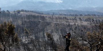 Δασικές πυρκαγιές: Συσκέψεις και λόγια κατόπιν… καταστροφής