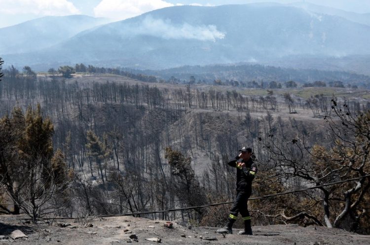 Δασικές πυρκαγιές: Συσκέψεις και λόγια κατόπιν… καταστροφής