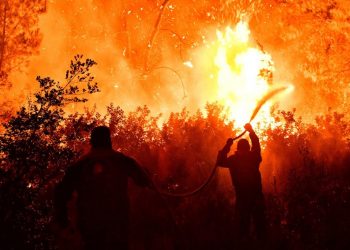 Εγκατάλειψη και εμπορευματοποίηση βάζουν φωτιές στα δάση