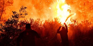 Εγκατάλειψη και εμπορευματοποίηση βάζουν φωτιές στα δάση