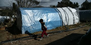 Νεκροί άνθρωποι και ποντίκια στα στρατόπεδα-φυλακές