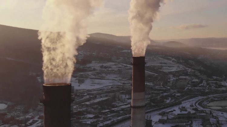 ΝΑΡ για Παγκόσμια Μέρα Περιβάλλοντος: Αγώνας για ζωή ενάντια στην καταστροφή του!