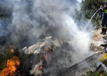 Στάχτη σχεδόν 110.000 στρέμματα σε λίγες εβδομάδες