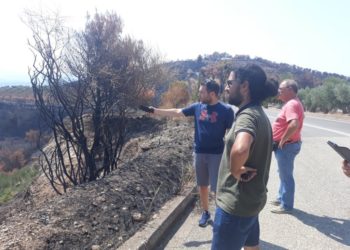 ΑΡΠΑ Δυτικής Ελλάδας: Περιοδεία στις πυρόπληκτες περιοχές της Ολυμπίας (φωτογραφίες)