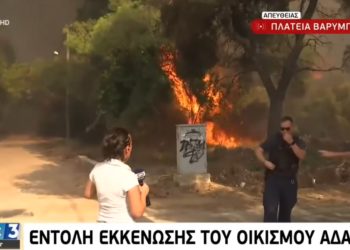 Καρέ-καρέ η δασοκτόνα και δολοφονική κρατική πολιτική (βίντεο)