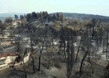 Εκπαιδευτικοί της Θεσσαλονίκης καταγγέλλουν την εγκληματική κυβερνητική πολιτική σε βάρος του περιβάλλοντος