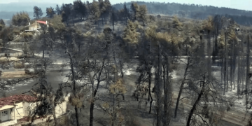 Εκπαιδευτικοί της Θεσσαλονίκης καταγγέλλουν την εγκληματική κυβερνητική πολιτική σε βάρος του περιβάλλοντος