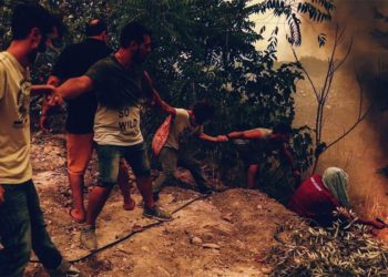 Wildfires: The government failed, solidarity prevailed