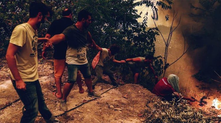 Wildfires: The government failed, solidarity prevailed