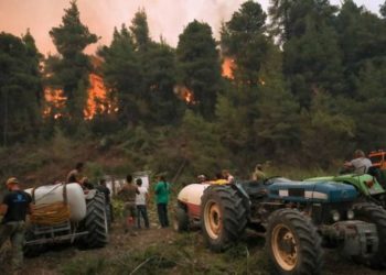 ΑΝΤΑΡΣΥΑ: Στάχτη στα μάτια των πυρόπληκτων τα κυβερνητικά μέτρα