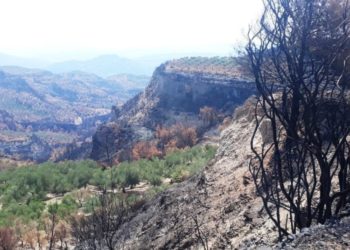 Ηλεία: Οι πυρόπληκτοι οργανώνονται και διεκδικούν