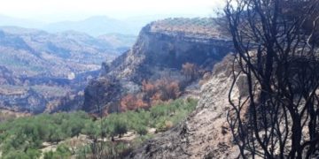 Ηλεία: Οι πυρόπληκτοι οργανώνονται και διεκδικούν