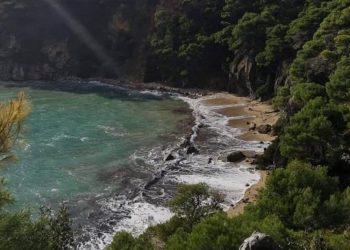 Αριστερή Παρέμβαση Ηπείρου: Τα δάση και οι παραλίες ανήκουν στον λαό