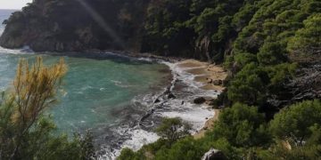 Αριστερή Παρέμβαση Ηπείρου: Τα δάση και οι παραλίες ανήκουν στον λαό