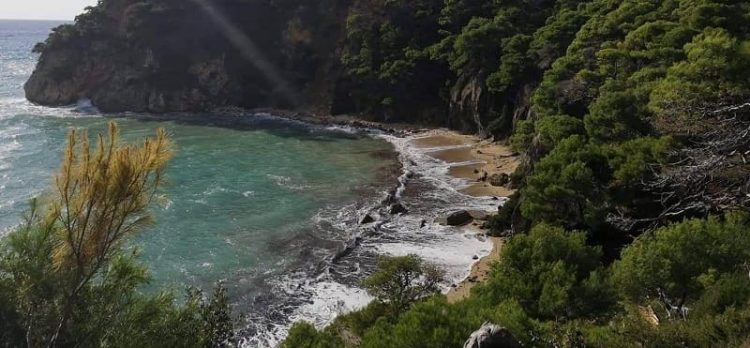 Αριστερή Παρέμβαση Ηπείρου: Τα δάση και οι παραλίες ανήκουν στον λαό