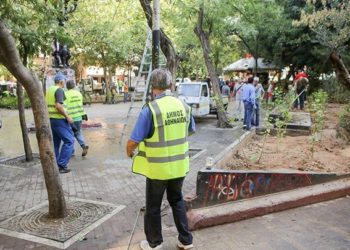 Οι εργολάβοι πρασίνου της δημαρχίας Μπακογιάννη κακοποιούν τα ελάχιστα δέντρα της Αθήνας
