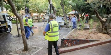 Οι εργολάβοι πρασίνου της δημαρχίας Μπακογιάννη κακοποιούν τα ελάχιστα δέντρα της Αθήνας