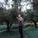 Ελαιόλαδο: «Χρυσός» για μεσάζοντες-βιομήχανους, τα… κουκούτσια οι παραγωγοί