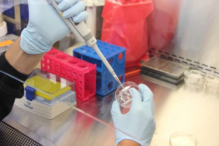 Εταιρείες-τεχνοβλαστοί: Αγοραίος εποικισμός πανεπιστημίων και ερευνητικών φορέων